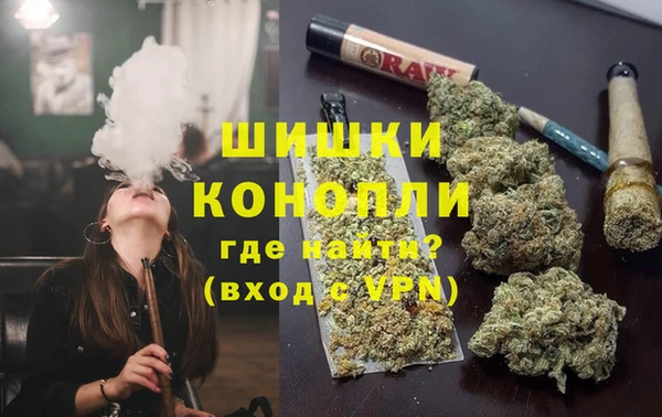 стафф Аркадак