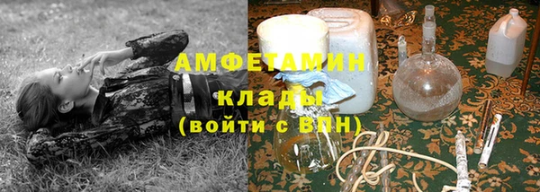 стафф Аркадак