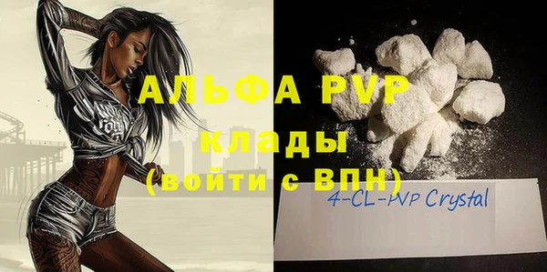 стафф Аркадак